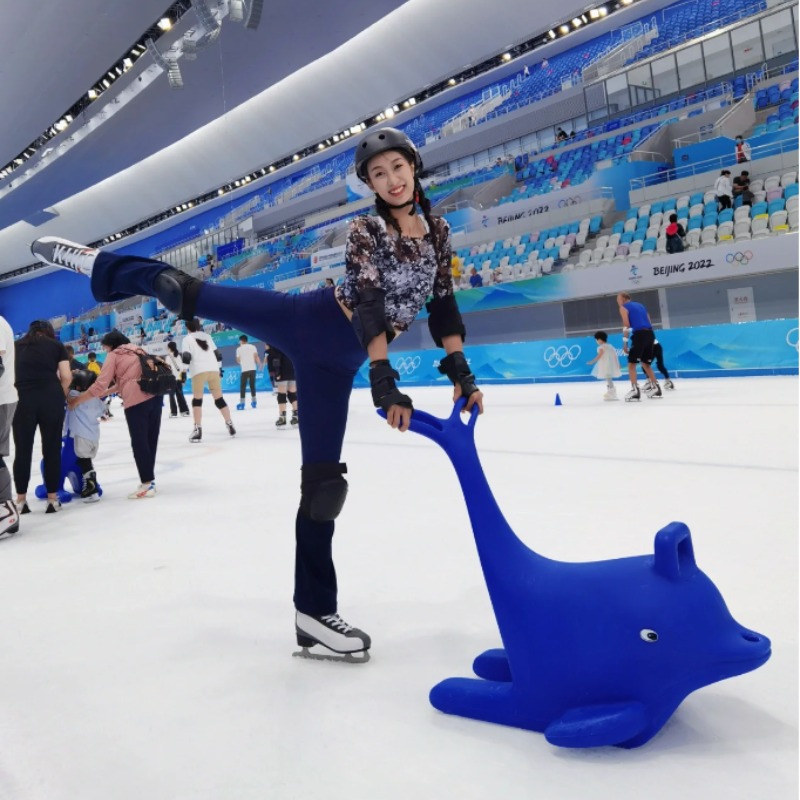 Heavy Equipment Instructor - Heavy Skating Assistant | 120kg Putter